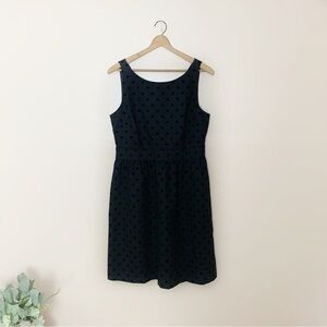 [LOFT] Women's Size:8 Black Velvet Polka Dot Fit & Flare Sleeveless Dress